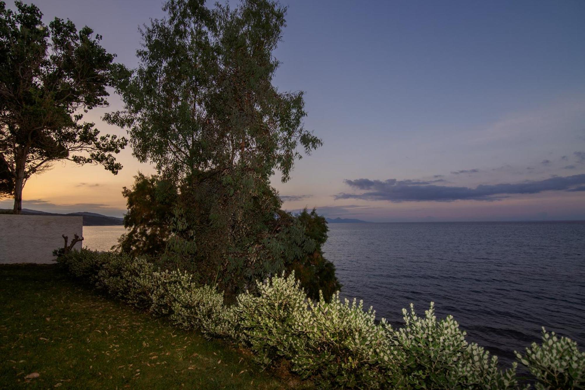 Villa Angelina Alikész Kültér fotó